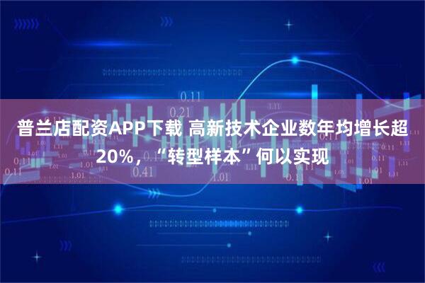 普兰店配资APP下载 高新技术企业数年均增长超20%，“转型样本”何以实现