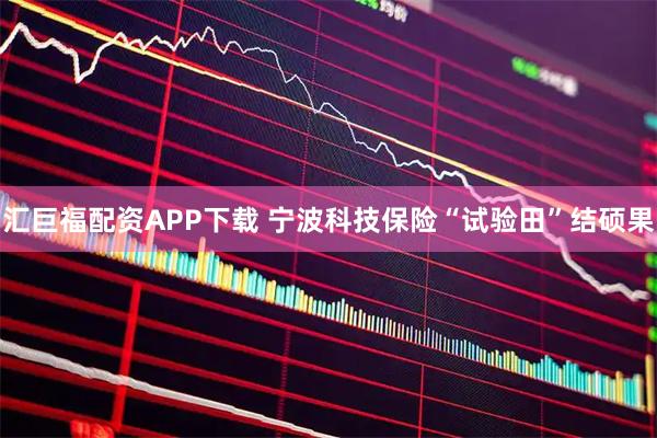 汇巨福配资APP下载 宁波科技保险“试验田”结硕果