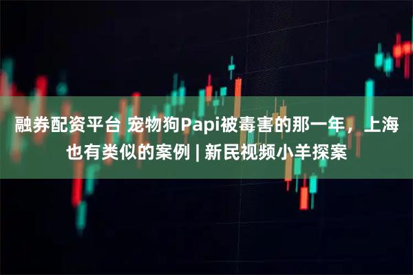 融券配资平台 宠物狗Papi被毒害的那一年，上海也有类似的案例 | 新民视频小羊探案