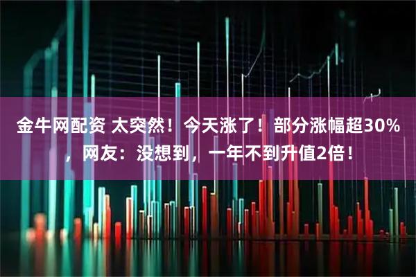 金牛网配资 太突然！今天涨了！部分涨幅超30%，网友：没想到，一年不到升值2倍！
