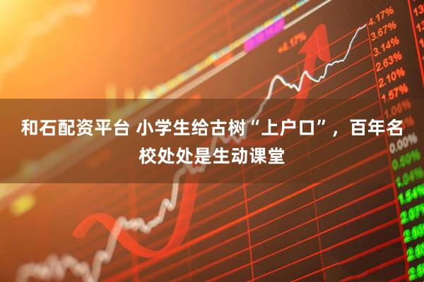 和石配资平台 小学生给古树“上户口”，百年名校处处是生动课堂